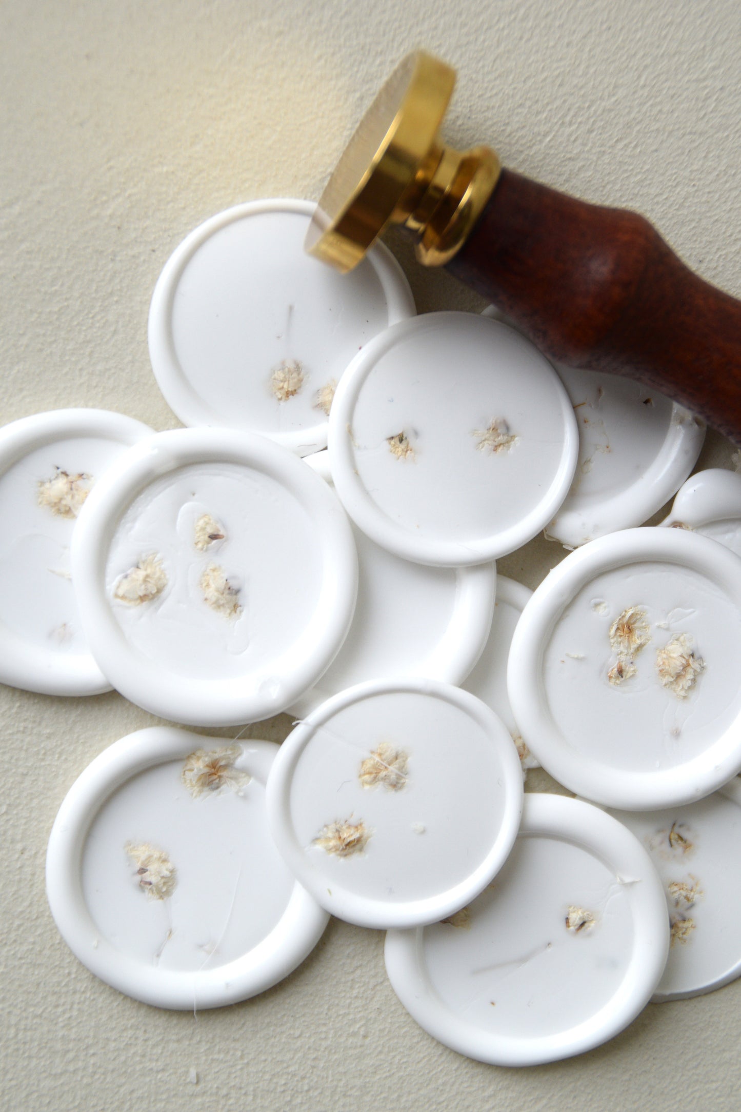 Safha of Baby's Breath - Waxseal