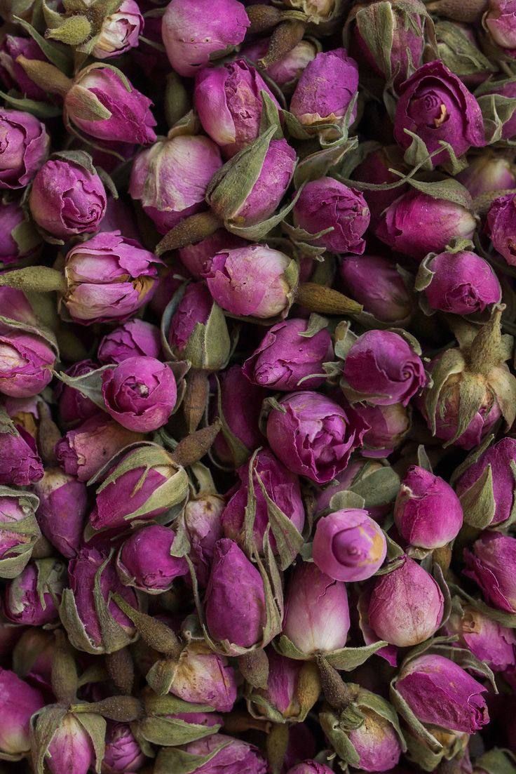 Flesjes rozenknopjes