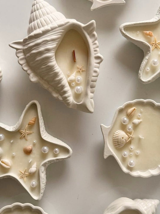Safha of Summer - Thank you card (shells)